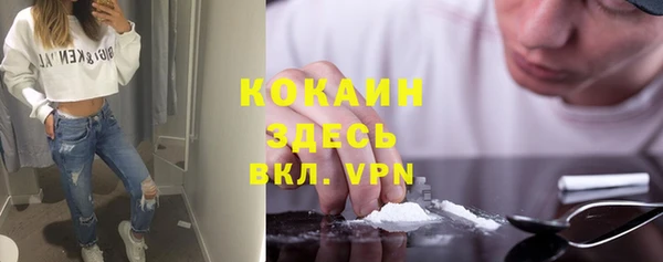 apvp Алексин