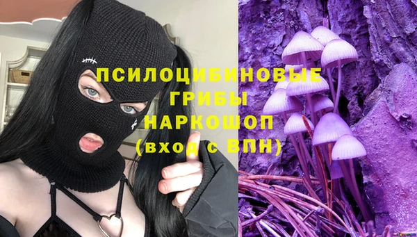 apvp Алексин