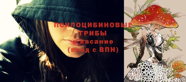 сатива Алексеевка