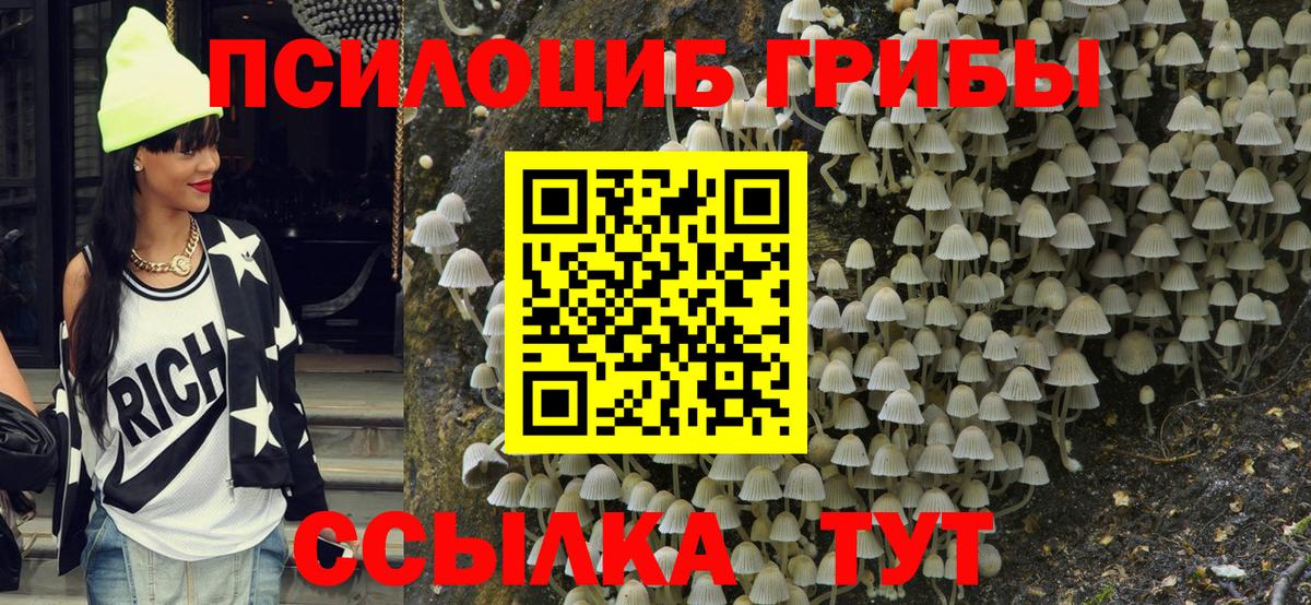 Галлюциногенные грибы прущие грибы Мичуринск