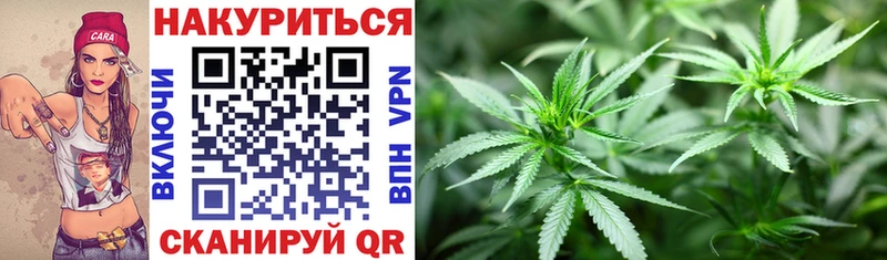 Конопля White Widow Мичуринск